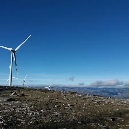 بيت للعطل Casa Do Telhado فييرا دو مينهو
