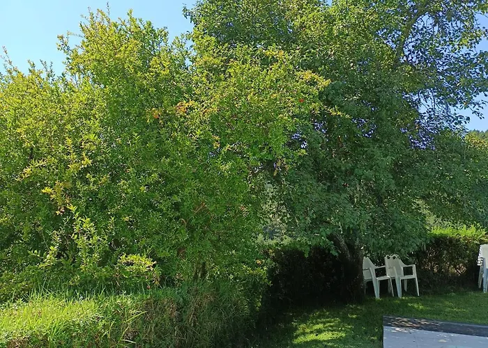 Дом отдыха Casa Do Telhado